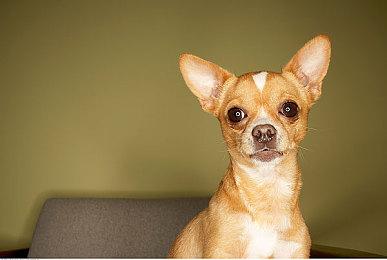 IGN：《星空》像是Xbox自我救赎的最后一次机会